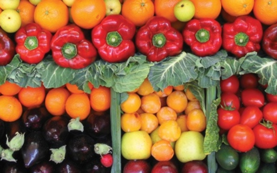 Photo of assorted vegetables.