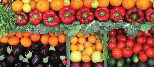 Photo of assorted vegetables.